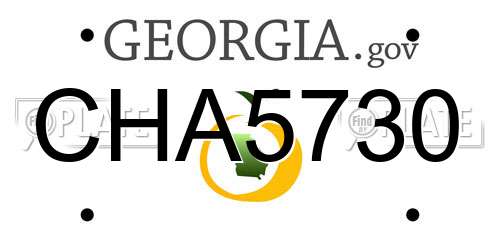 CHA5730 Georgia License Plate