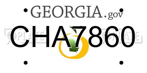 CHA7860 Georgia License Plate