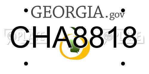 CHA8818 Georgia License Plate