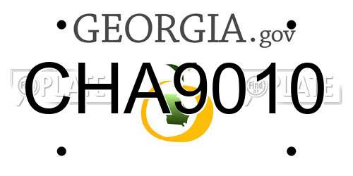 CHA9010 Georgia License Plate