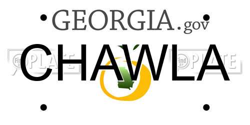 CHAWLA Georgia License Plate
