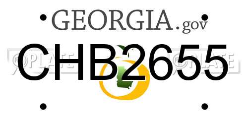 CHB2655 Georgia License Plate