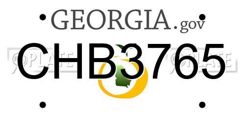 CHB3765 Georgia License Plate