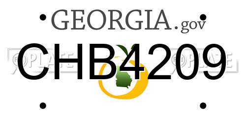 CHB4209 Georgia License Plate