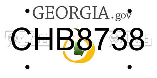 CHB8738 Georgia License Plate