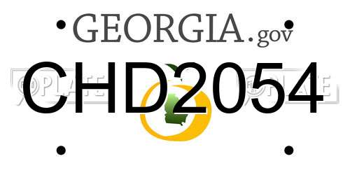 CHD2054 Georgia License Plate