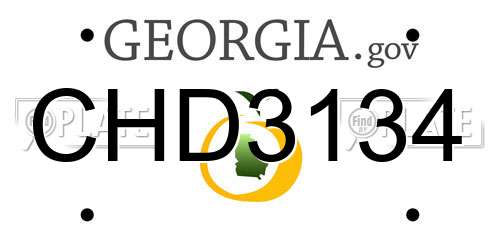 CHD3134 Georgia License Plate