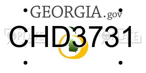 CHD3731 Georgia License Plate