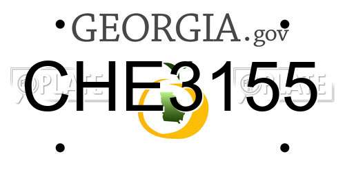 CHE3155 Georgia License Plate