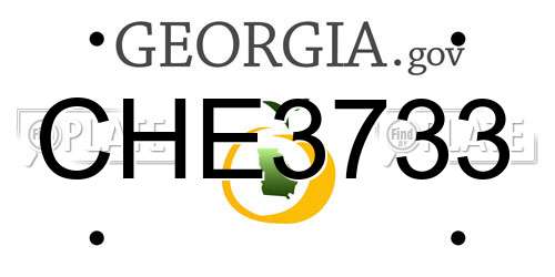 CHE3733 Georgia License Plate