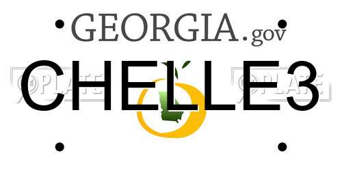 CHELLE3 Georgia License Plate