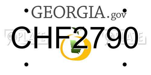 CHF2790 Georgia License Plate
