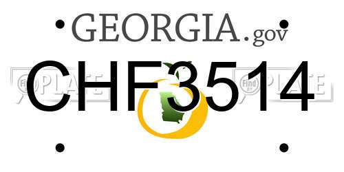 CHF3514 Georgia License Plate