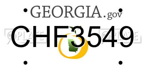 CHF3549 Georgia License Plate