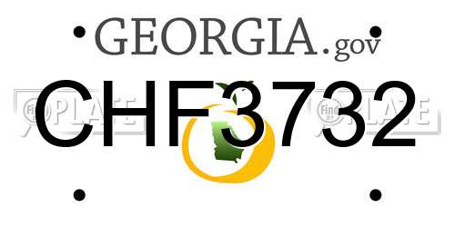 CHF3732 Georgia License Plate