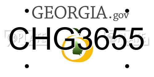 CHG3655 Georgia License Plate