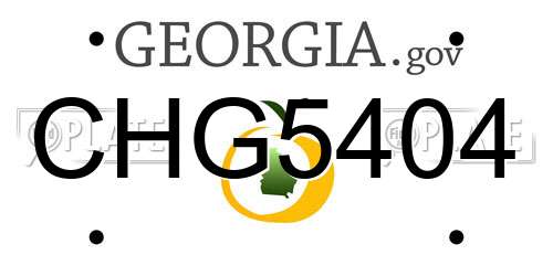 CHG5404 Georgia License Plate