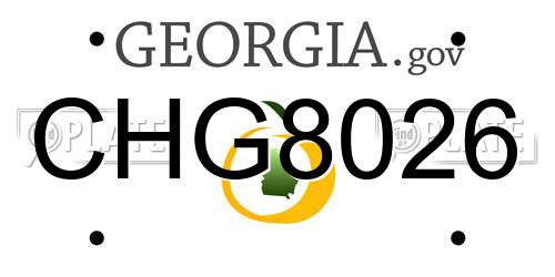 CHG8026 Georgia License Plate