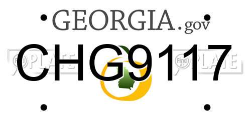 CHG9117 Georgia License Plate