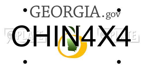CHIN4X4 Georgia License Plate