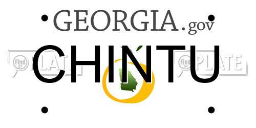 CHINTU Georgia License Plate