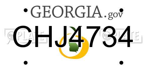 CHJ4734 Georgia License Plate