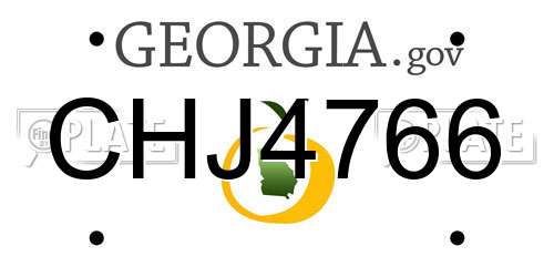 CHJ4766 Georgia License Plate
