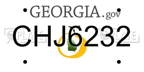 CHJ6232 Georgia License Plate