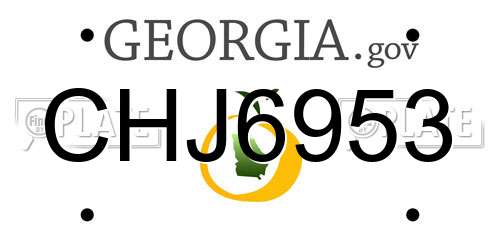CHJ6953 Georgia License Plate