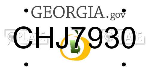 CHJ7930 Georgia License Plate