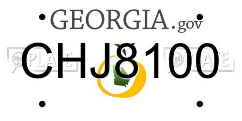 CHJ8100 Georgia License Plate