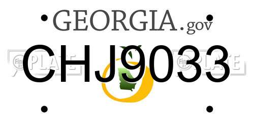 CHJ9033 Georgia License Plate
