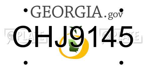 CHJ9145 Georgia License Plate