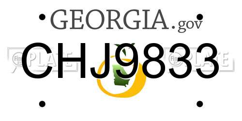 CHJ9833 Georgia License Plate
