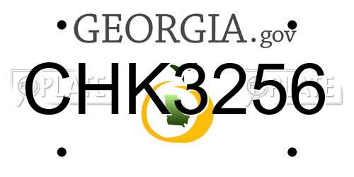 CHK3256 Georgia License Plate