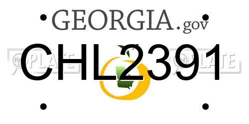 CHL2391 Georgia License Plate