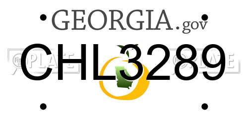 CHL3289 Georgia License Plate