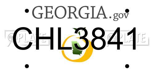 CHL3841 Georgia License Plate
