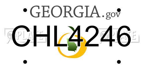 CHL4246 Georgia License Plate