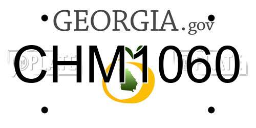 CHM1060 Georgia License Plate