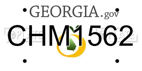 CHM1562 Georgia License Plate