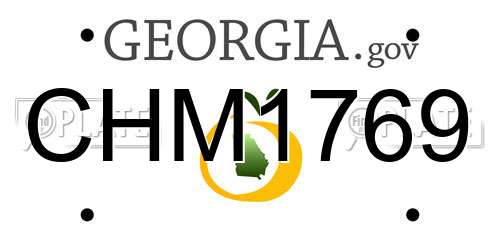 CHM1769 Georgia License Plate