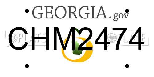 CHM2474 Georgia License Plate