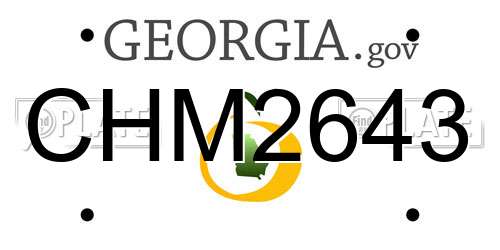 CHM2643 Georgia License Plate