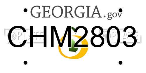 CHM2803 Georgia License Plate