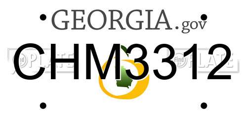 CHM3312 Georgia License Plate