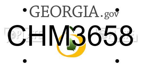 CHM3658 Georgia License Plate