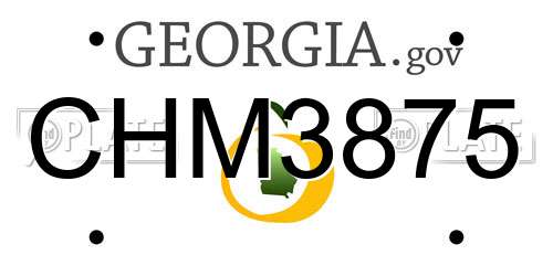 CHM3875 Georgia License Plate
