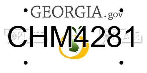 CHM4281 Georgia License Plate