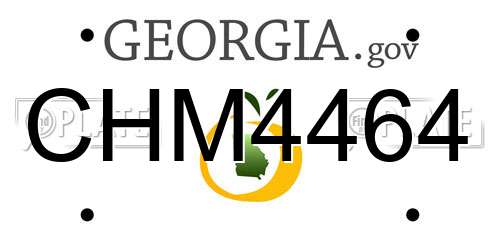 CHM4464 Georgia License Plate